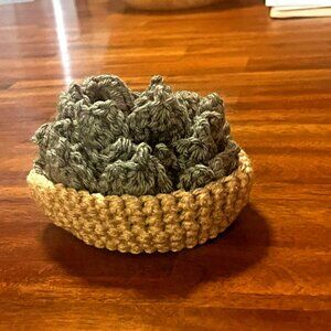 Crochet Succulent Coasters with Bowl, Hand Crafted 5 Pieces NEW